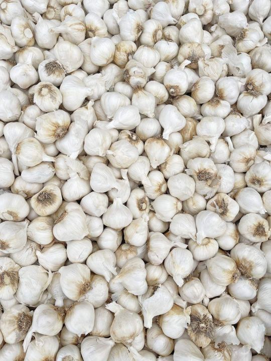 Lehsan G1 For Kitchen Use (1Kg.Garlic G1.)