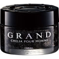 Carall Grand chelia 65L car perfume air freshener non-pungent gel 55ml. -genuine Japan. 