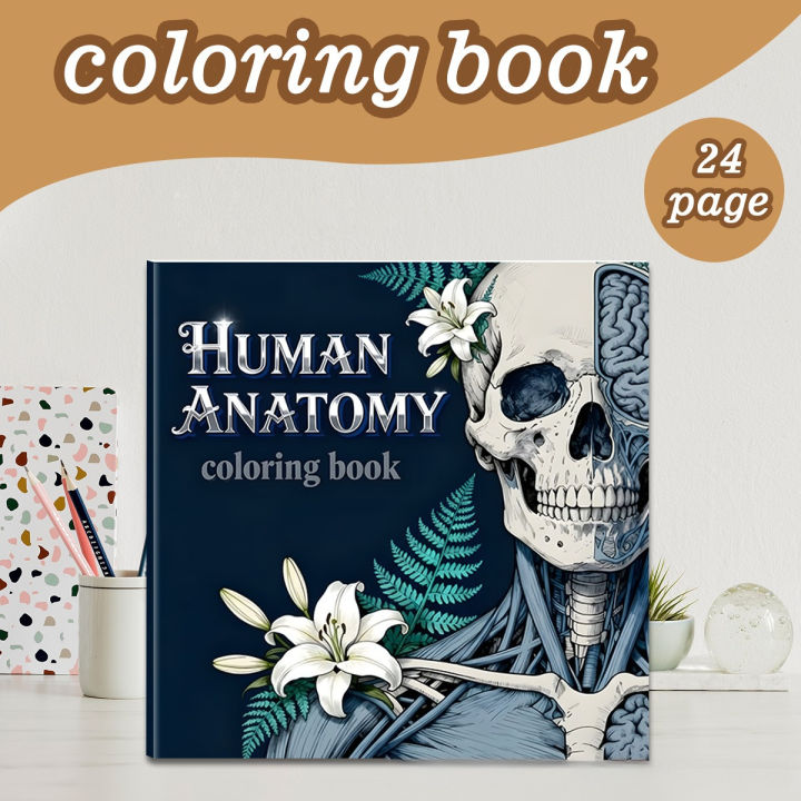 Human Anatomy Coloring Book 24 Pages Medical Illustrations for Students Nurses Stress Relief Learning