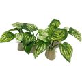 Small Underwater Grass Aquarium Fish Tank Simulation Decoration Aquarium Backgrounds Plants Water Grass Accessories Home.