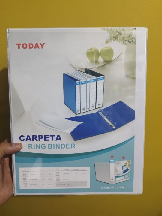 Today 3  Ring View Binder File Holds 250  Sheets