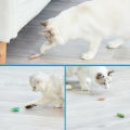 Funny Electric Bugs Catnip Toy Automatic Tunnel Mini Robot Bug Vibration Insect Toys For Cats Battery Operated Cockroach Ladybug. 