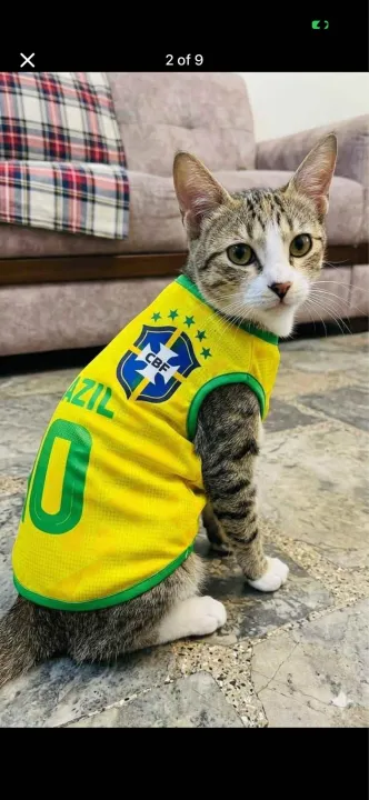 Argentina%20Brazil%202026%20world%20cup%20cat%20jersey%20-%20Image%203