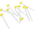 12Pcs Dental Glass Fiber Post Root Canal Pins Straight. 