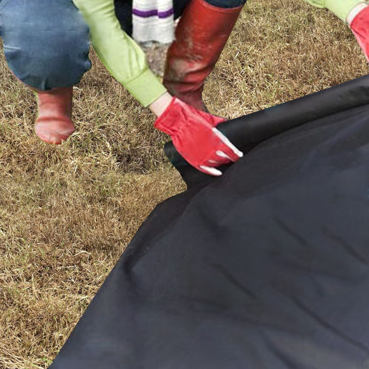 Plastic%20mulch%20has%20a%20drill%20hole%20and%20does%20not%20drill%2010%20m%20long.%2080/100/120/150mm%20wide%20%7C%20plastic%20mulch%20plastic%20mulch%20film%20-%20Image%206