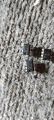 Ic 741 UA741 LM741 Operational Amplifier op-amp best op amp. 