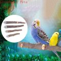 Natural Wood Pet Parrot Raw Wood Fork Tree Branch Stand Rack Squirrel Bird Hamster Branch Perches Chew Bite Toys Stick. 