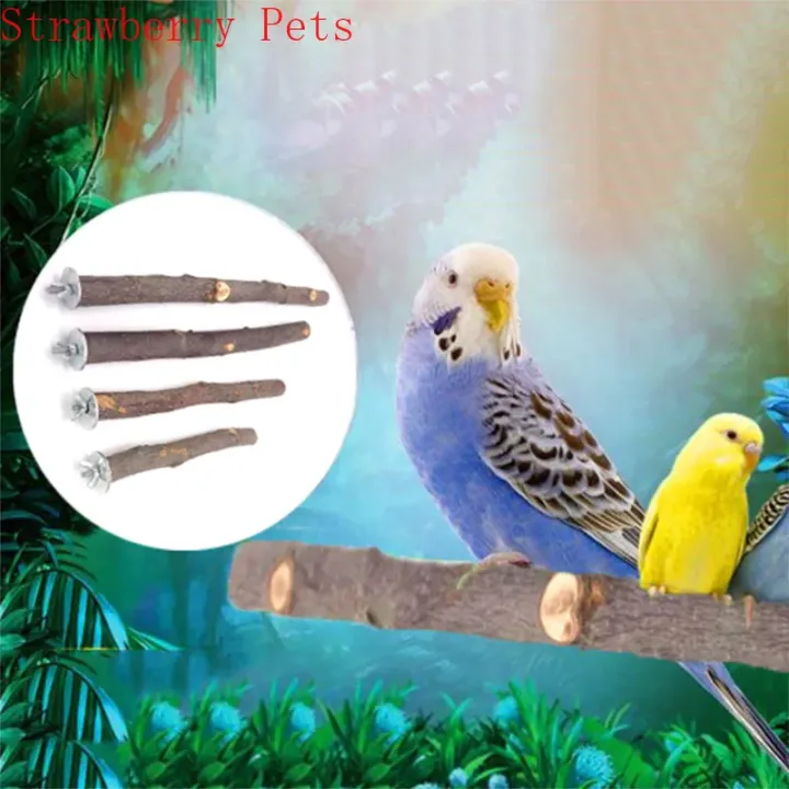 Natural%20Wood%20Pet%20Parrot%20Raw%20Wood%20Fork%20Tree%20Branch%20Stand%20Rack%20Squirrel%20Bird%20Hamster%20Branch%20Perches%20Chew%20Bite%20Toys%20Stick%20-%20Image%206