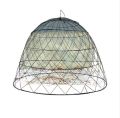 Aseel Murgh Tokra Cage for Aseel Murgh Hens Poultry Chicken. 