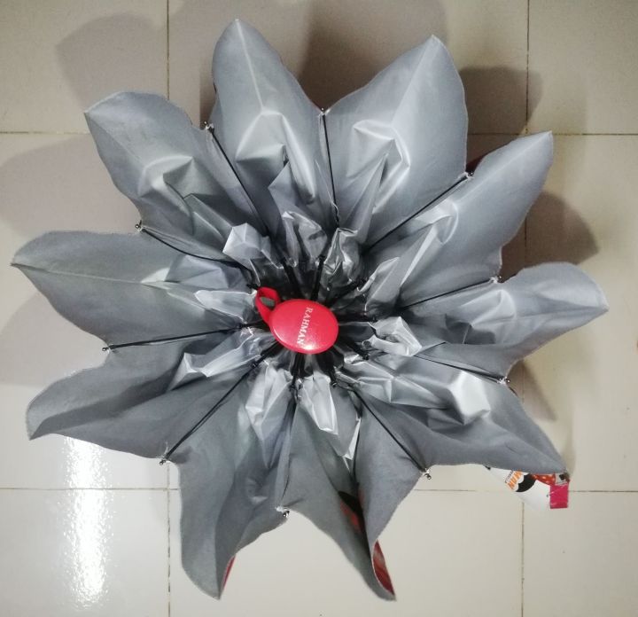 Multicolor%2010%20Siks%2002%20Folding%20Auto%20Open%20Umbrella-%20RAHMAN%20UMBRELLA%20-%20Image%204