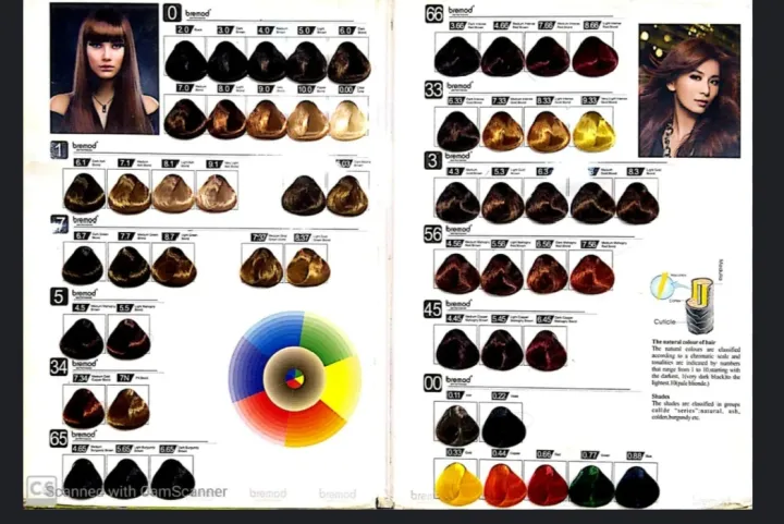 Bremod%20Professional%20Hair%20Color%20(9.1)%20Very%20Light%20%20Ash%20Blond%20(Tube%20+%20Developer%20Volume)%20(100ml)%20-%20Image%207