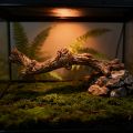 Rainforest Landscape Simulation Lizard Guarding the Palace Climbing Tree Ornament, Spider Snake Tank Landscape Supplies.