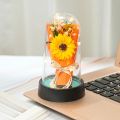 Everlasting LED Rose in Glass Dome – Romantic Gift for Valentine’s Day, Anniversary, Eid,Christmas & Home Decor. 