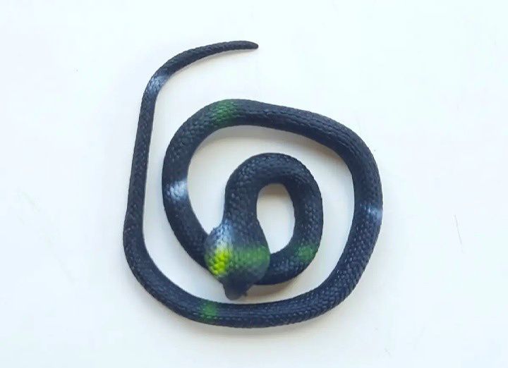Snake Toys for Kids