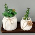 Gypsum Jar 1pc. 