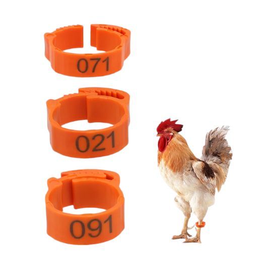 Adjustable Ring/ Chicken Identification Rings / Leg Bands Tags / 5 pcs of Adjustable Ring/  Poultry Leg Bands/ Bird Leg Bands / Duck Leg Bands/ Clip-on Rings/ Hens leg band/ Adjustable plastic ring for chickens