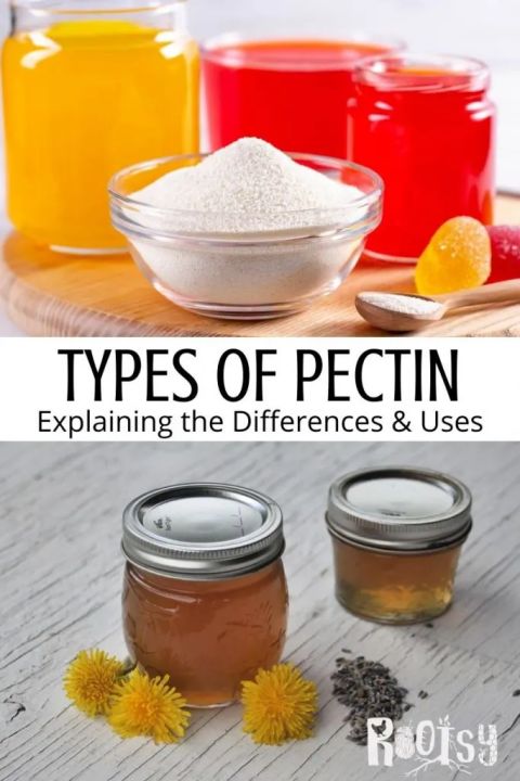 Fruit%20pectin%20-%20Image%202