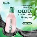 Ollid shampoo. 
