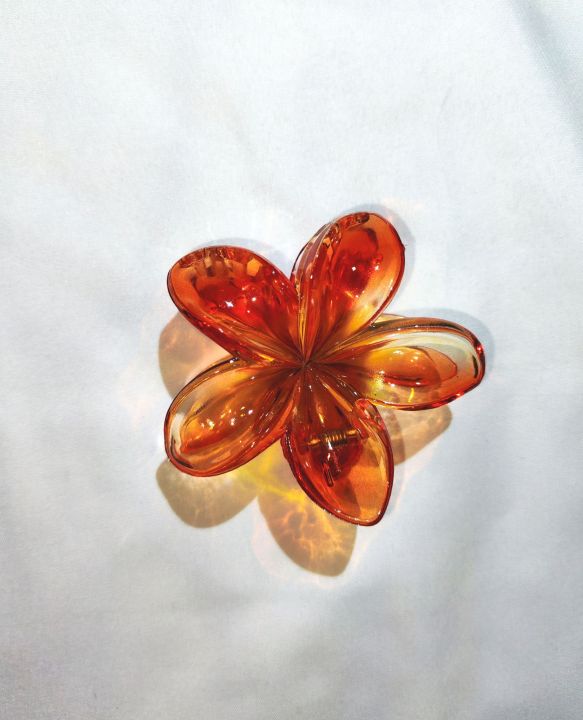 Big%20Araliya%20Hair%20Clips%20(7.5cm)%201pc/3pcs.Araliya%20unique%20design%20hair%20clips.All%20hair%20type.%20-%20Image%206