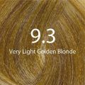Eazicolor 9.3 Very Light Golden Blonde Eazicolor Professional Permanent Hair Colour With Developer. 