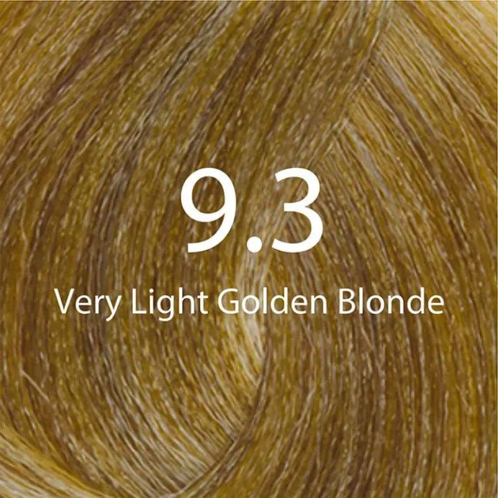 Eazicolor 9.3 Very Light Golden Blonde Eazicolor Professional Permanent Hair Colour With Developer