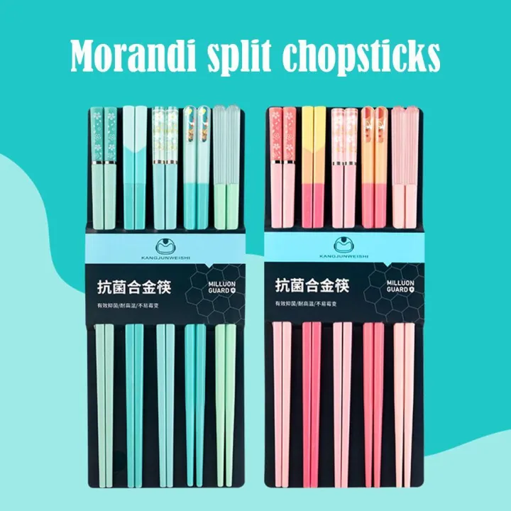 5%20Pairs%20Japanese%20Style%20Morandi%20Colors%20Chopsticks%20Set%20Non-Slip%20Chopsticks%20Dishwasher%20Safe%20for%20Home%20Restaurant%20Sushi%20Chopsticks%20-%20Image%206