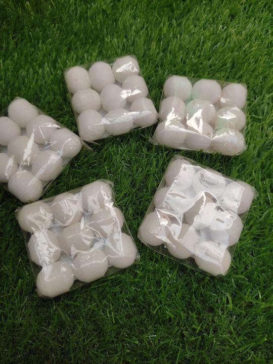 phenyl tablet Camphor mothballs 200g pack Cleaning products