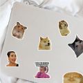 Funny Meme Stickers Decals Skateboard, Laptop, Suitcase, Motorcycle 10/25Pcs. 