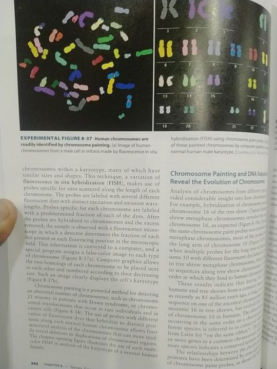 Molecular%20Cell%20Biology%208th%20edition%20-%20Image%203