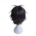 Anime Monkey D. Luffy Short Black Cosplay Wig Heat Resistant Synthetic Hair Wigs.
