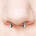 Magnetic Horseshoe Nose Rings, 316L Stainless Steel, Faux Septum Rings, Fake Piercing, Clip on, Hoop Rings, Gift for Women, Girl. 