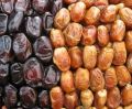 کھجور Dates. 