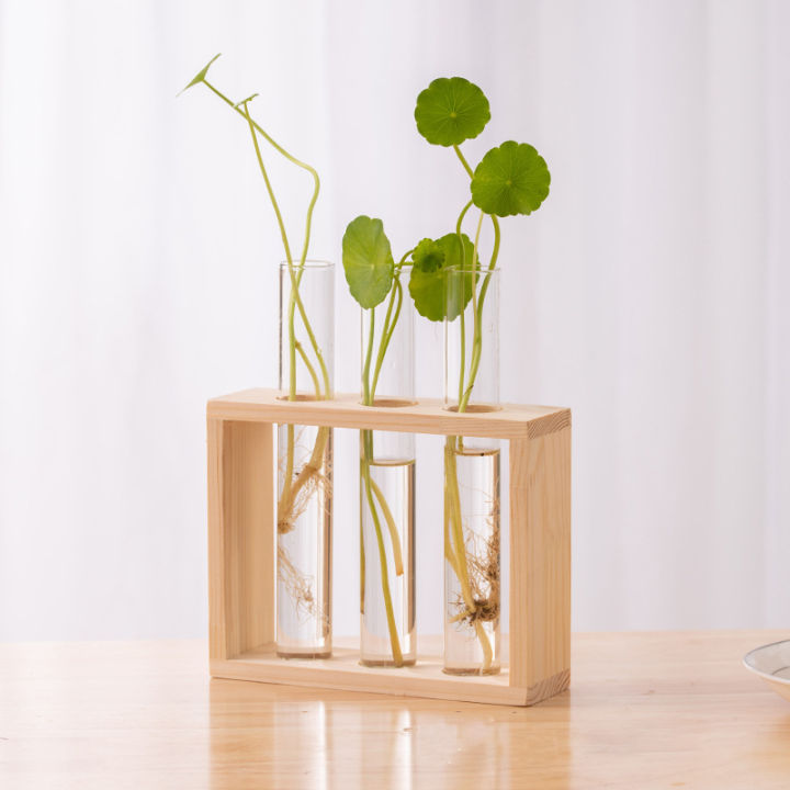 Hydroponic%20Plants%20Container%20with%20Wood%20Frame%20Transparent%20Glass%20Test%20Tube%20Vase%20Flower%20Pot%20Home%20Tabletop%20Bonsai%20Decorations%20Crafts%20-%20Image%203