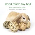 5PCS Rabbit Ball Toys Bunny Treats Toys For Teething Small Animal Chew Toys Grass Ball For Dwarf Hamster Rabbits Guinea Pigs Ger. 