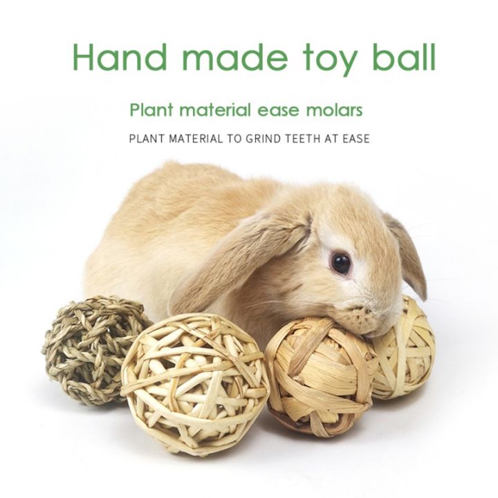 5PCS%20Rabbit%20Ball%20Toys%20Bunny%20Treats%20Toys%20For%20Teething%20Small%20Animal%20Chew%20Toys%20Grass%20Ball%20For%20Dwarf%20Hamster%20Rabbits%20Guinea%20Pigs%20Ger%20-%20Image%202