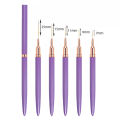 5 Pcs Nail Art Liner Brushes Set Elongated Lines Striping Drawing UV Gel Painting Nail Design Pen Professional Manicure Tool. 