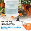 Chicken Water Cups Suitable for Chicken Water Feeders for Chicks  Ducks Geese Turke  and Rabbits. 
