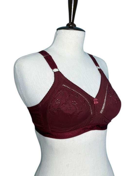Soft%20Cotton%20Embroided%20Bra%20For%20Women%20With%20Support%20Belt,%20Fancy%20Cotton%20Brazier%20-%20Image%202