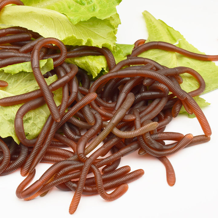 10Pcs%20Simulated%20Insects%20Earthworms%20Soft%20%20Toy%20Floor%20Dragons%20Props%20Halloween%20Party%20Props%20Maggots%20Prank%20Toys%20Children's%20%20-%20Image%206