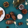 Christmas decoration pine cones dry pine cones. 