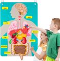Montessori Human Body Parts Quiet Book,Toddler Toys Pretend Play Human Anatomy Book, Teaching Body Parts Felt Board  Stories. 