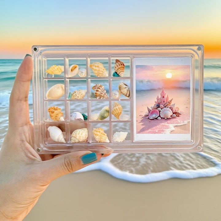 Acrylic Square Shell Storage Box Transparent Sea Shell Display Cabinet ...