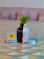 Pinterest beautiful mini vase handmade concrete vase 10 cm vase home decor flower vase. 