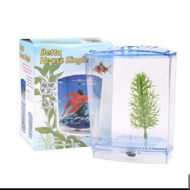 Fighter Fish Box BETTA BOX - FIGHTER FISH BOX | Daraz.pk
