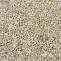 Wheat Bird Food Seed 1kg. 