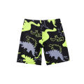 Children Boy Swimsuit Swimwear Suit 3Pcs Sunscreen Prevention Dinosaur Printing Long Sleeves Shorts Caps Swimwear Quick Drying. 