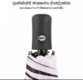 Auto Umbrella, Compact & Durable, Windproof & Water-Resistant. 