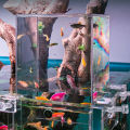 Transparent Acrylic Negative Pressure Fish Tank Practical Fish Tank Ecological Landscaping Decor For Office. 