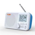 C10 Radio Portable Radio LCD Screen Alarm Clock DAB DAB+ FM Bluetooth-compatible Broadcasting Radio Supports TF Card MP3 Player. 