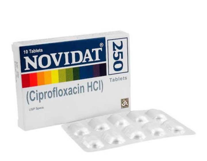 NOVIDAT 250